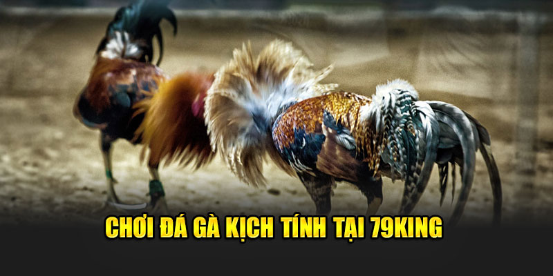 Chơi đá gà kịch tính tại 79King