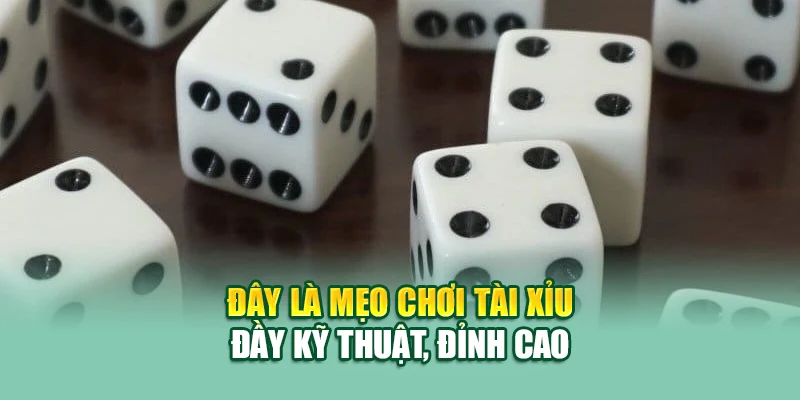 Đây là mẹo chơi tài xỉu đầy kỹ thuật, đỉnh cao