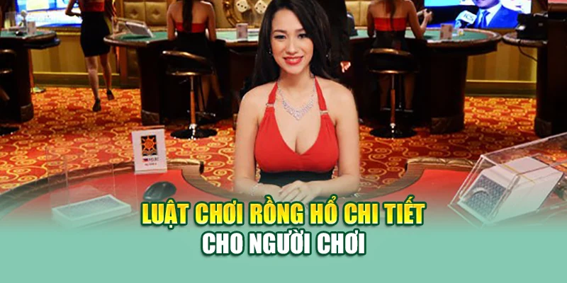 Luật Chơi Rồng Hổ 79King - Chi Tiết Cách Chơi Dễ Thắng 2 Luật chơi Rồng Hổ chi tiết cho người chơi